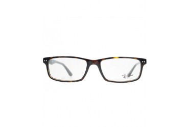 RAY BAN